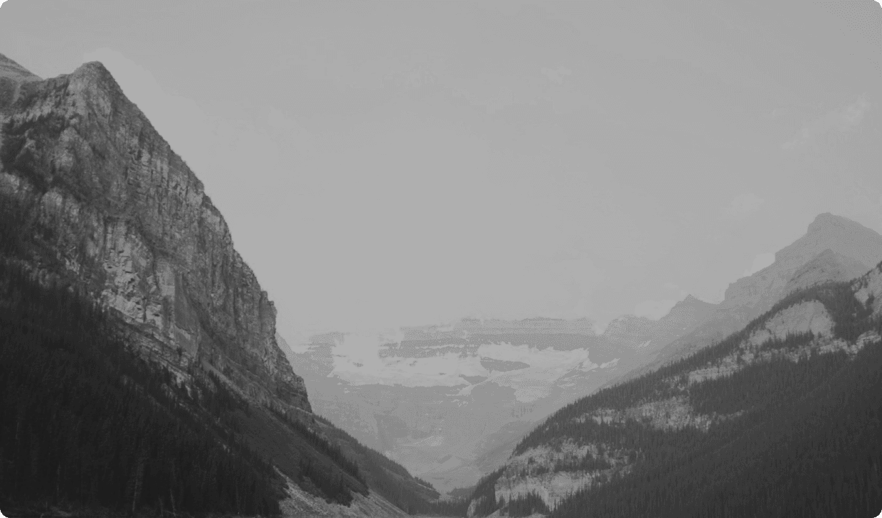 Black and white picture of nature